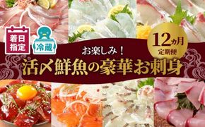 【お楽しみ定期便】延岡産活〆鮮魚の豪華お刺身（12ヶ月定期便）　N019-YG0191　請関水産