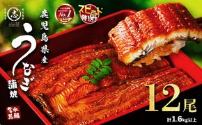 【数量限定】鹿児島県産うなぎ蒲焼 名水慈鰻 12尾(1尾約120g以上)＜計約1.6kg以上＞ f2-003