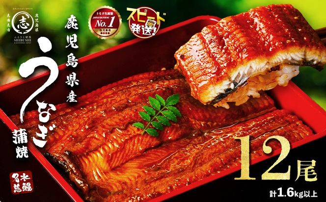 【数量限定】鹿児島県産うなぎ蒲焼 名水慈鰻 12尾(1尾約120g以上)＜計約1.6kg以上＞ f2-003