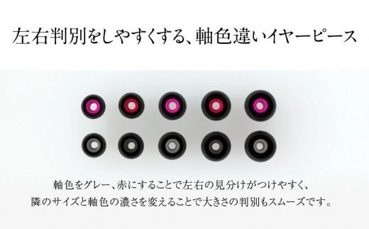 final 有線イヤホン A5000 f-Core DU搭載 高音質 2PIN ソフトシルバーコートケーブル付属 イヤーピース イヤーフック キャリケース イヤホン ファイナル オーディオブランド 人気 おすすめ 神奈川県川崎市