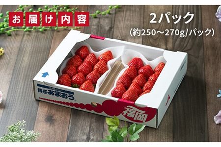 【先行予約】糸島産【冬】 あまおう 2パック 【2024年12月上旬以降順次発送】 《糸島》【南国フルーツ株式会社】