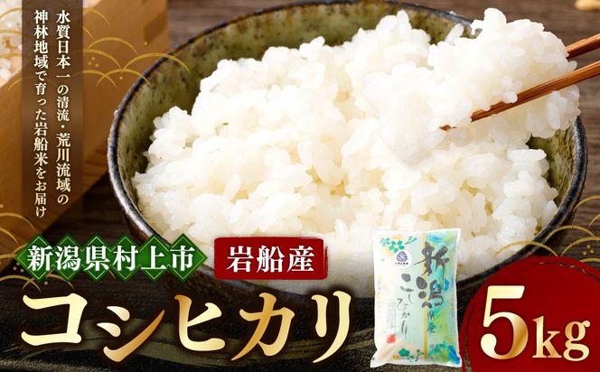  【令和7年産米】にいがた岩船産コシヒカリ（神林産地）5kg　A4134