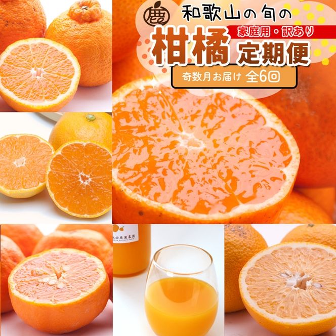 【定期便】家庭用 柑橘定期便 S 6回（奇数月）※北海道・沖縄・離島への配送不可※奇数月に発送
