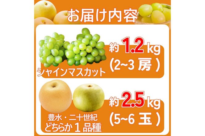 田園紳士厳選 シャインマスカット・梨セット 果物 フルーツ シャインマスカット 梨 セット 詰め合わせ ふるさと納税 シャインマスカット ふるさと納税 フルーツ セット　DE00142