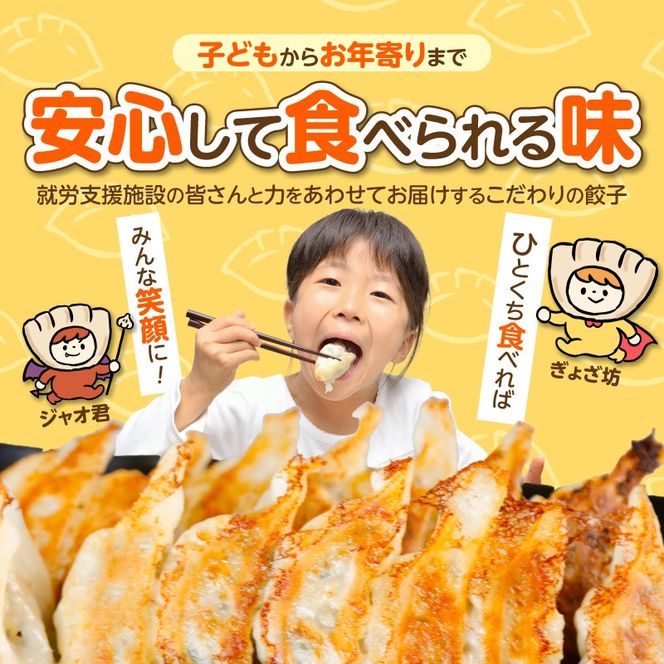（お試し）≪家族が笑顔になる餃子≫『すまいる餃子』12個 H204-001