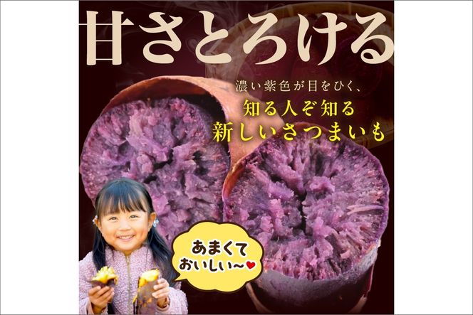 【日本一ダブル受賞セット】紅はるか、ふくむらさきセット計約10kg　TF00064