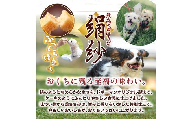 【ドッグフード】ドギーマン 絹紗 キューブ 野菜入り100g×6袋_HA1309