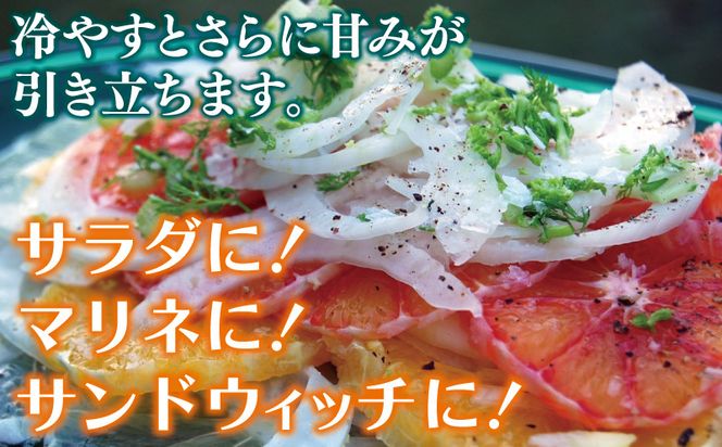 005A737 泉州たまねぎ 3.5kg【超極早生 玉ねぎ 農家直送 新鮮 野菜 やさい 期間限定】