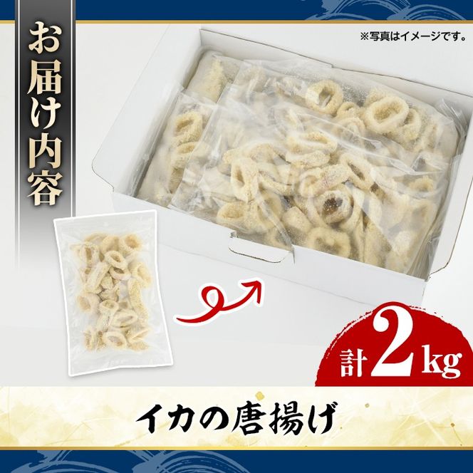 イカの唐揚げ(計2kg) いか イカ 唐揚げ 揚げ物 からあげ おかず おつまみ 惣菜 リピート 魚介類 海産物 冷凍 加工品 国内加工 簡単調理【グローバルフーズ】akn061-20