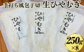 手打ち風包丁切　生ひやむぎ