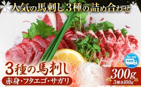 3種の馬刺し 赤身 フタエゴ サガリ 300g 各100g 醤油付き 5ml×2袋 長洲501《30日以内に出荷予定(土日祝除く)》 熊本県 長洲町 馬肉 馬刺し 熊本県産 国産---sn_fsksansyu_30d_24_15000_300g---