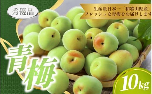 【先行予約】 青梅 10kg ※秀優品 ※サイズ混合 【6月上旬～6月下旬頃に順次発送予定】＜味好農園＞/ 梅 青梅 梅干 梅干し 梅酒 お酒 シロップ ジュース【agy508-r-10】
