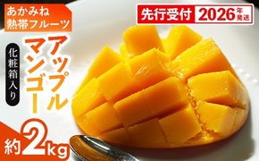 【化粧箱入】【先行受付・2026年発送】あかみね熱帯フルーツのアップルマンゴー約2kg - 先行予約 沖縄県産 産地直送 南国フルーツ 旬の味覚 季節の果物 贈り物 ギフト 沖縄県 八重瀬町