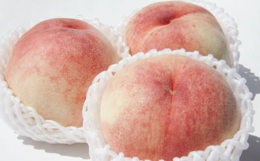 【定期便】定期便全3回 【7月・8月・9月発送】 和歌山の夏の人気フルーツをお届け（桃・梨・シャイン）【tkb429】 