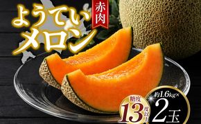 北海道 赤肉メロン 約1.6kg 2玉 メロン 赤肉 果物 フルーツ 甘い 完熟 スイーツ デザート 産直 国産 贈答品 お祝い ギフト羊蹄山 JAようてい