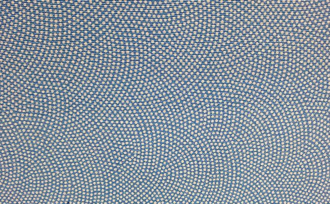 江戸小紋 反物 着尺 鮫小紋 中鮫 ブルー系 大松染工場 正絹 100％ 絹 生地 着物 着物生地 和装 民芸品 工芸品 伝統工芸品 おしゃれ かわいい 東京 東京都 墨田区