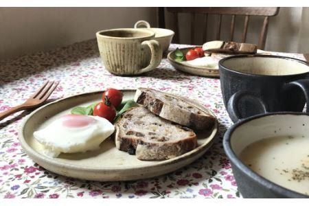 20cm 丸プレート 5枚セット アイボリーシリーズ《糸島》【うつわと手仕事の店 研】 [ARD008] 器 陶器 食器 焼き物 皿 ケーキ皿 取り皿 クラフト 手作り うつわ プレート