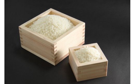 【新米　先行予約】令和8年産近江米　コシヒカリ 白米【10kg（5kg×2袋）】【V023W】