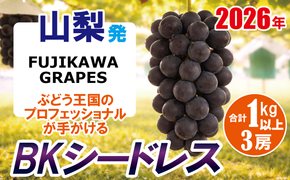 《秀品以上》上級品をお得に　【BKシードレス】　1.0kg以上（3房）　【2026年発送分 先行予約】- FUJIKAWA GRAPES -