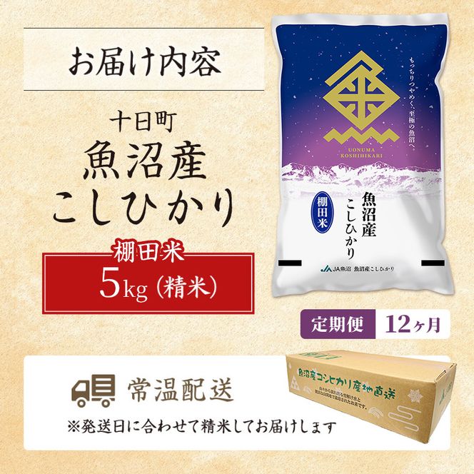 【12ヶ月定期便】魚沼産こしひかり 棚田米(十日町地域) 精米 5kg 米 お米 コシヒカリ 定期 十日町市