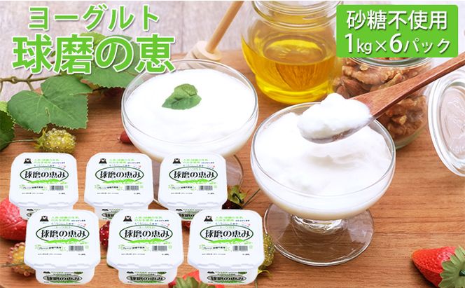 球磨の恵ヨーグルト 1kg×6パック（砂糖不使用） 乳製品 