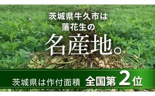 牛久市産 素煎り 落花生 （ むき実 ）180g × 5袋 セット 計900g ピーナッツ ナッツ 殻なし 詰合せ 豆 無塩 塩分不使用 おつまみ おやつ お菓子 素焼き 殻なし マメ まめ 料理 お茶漬け 国産 小分け お取り寄せ グルメ 茨城県 [AX029us]