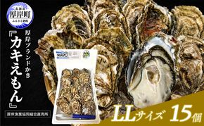カキ 生食用 北海道 厚岸産 殻かき カキエモン LLサイズ  15個 牡蠣 魚貝類 生牡蠣 殻付き牡蠣 カキ ブランド