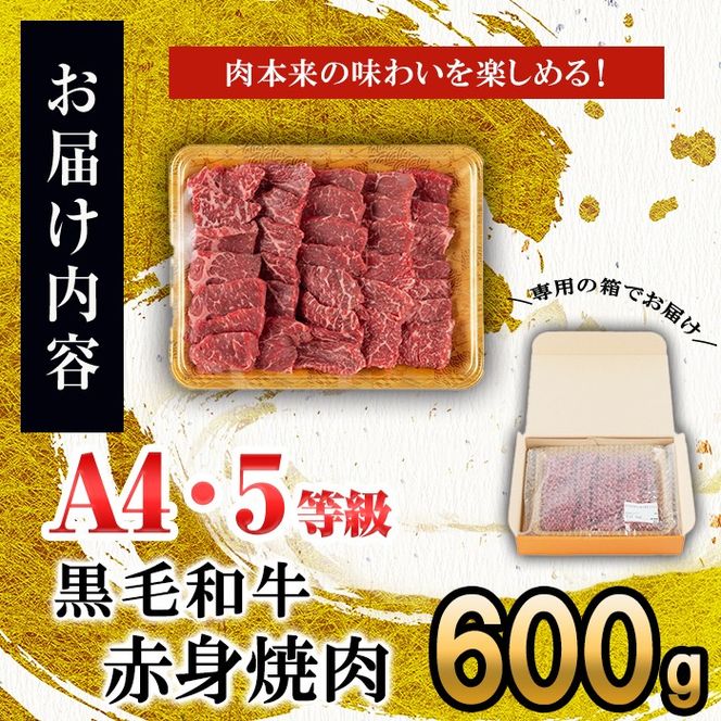 【数量限定】鹿児島県産 A4・A5等級うしの中山黒毛和牛赤身焼肉用600g a5-263