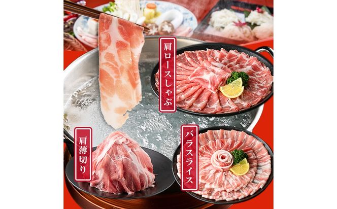 鹿児島県産 豚肉 バラエティ セット6種 計5.4kg b5-201