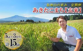 米 お米 【定期便】5kg×3ヶ月 鳥海山の恵み 農家直送！ あきたこまち（玄米） 3カ月 3回 サブスク