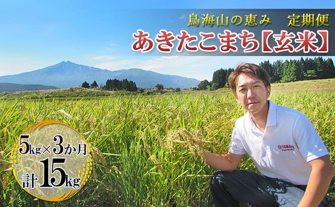 米 お米 【定期便】5kg×3ヶ月 鳥海山の恵み 農家直送！ あきたこまち（玄米） 3カ月 3回 サブスク