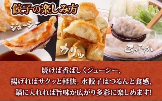 【大容量】北海道産豚肉のぎょうざ 120個!冷凍餃子 ギョーザ 国産 焼餃子 点心 滝川市 冷凍食品