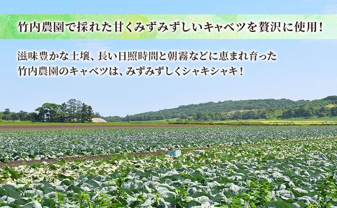ボリューム満点 手作り冷凍餃子 60個 (15個×4袋)［錦華園］【 野菜 キャベツ たっぷり 厚い 手包み 手作り もちもち モチモチ 汁 町中華 中華 北海道 十勝 幕別 】