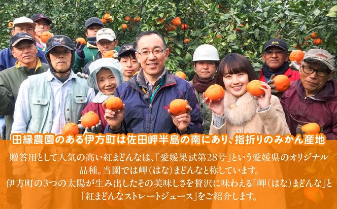 【先行予約】【数量限定】田縁農園の岬（はな）まどんな生果＆紅まどんなジュースセット （2026年12月10日より順次発送） IKTA004