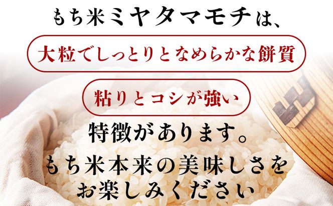 もち米 5kg - ミヤタマモチ 国産 餅 モチ  もちもち おもち おこわ おはぎ ぼたもち お雑煮 赤飯 米 お米 アレンジ 調理 高知県 香南市 常温 at-0071