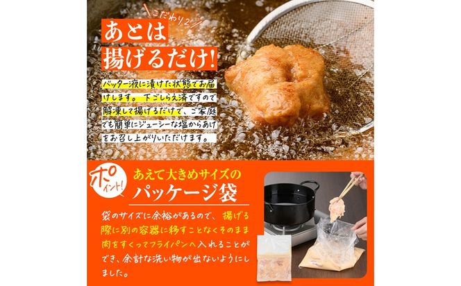 時短おかず 揚げるだけ 大分からあげ 醤油にんにく味 (計1kg・500g×2パック) 国産 鶏もも肉 肉 からあげ 唐揚げ 食べ比べ 醤油にんにく味 冷凍 惣菜 お弁当 小分け 簡単 時短 大分県 佐伯市【DH290】【ネクサ】