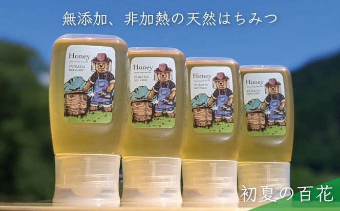 合計1200g 天然蜂蜜 国産蜂蜜 非加熱 生はちみつ 岐阜県 美濃市産 初夏 (蜂蜜300g入りピタッとボトル4本セット)B12 深田養蜂のハチミツ