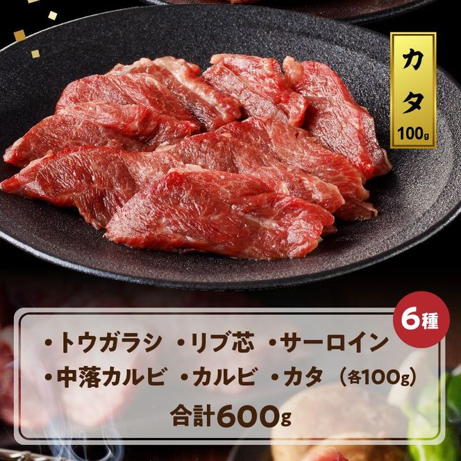 宮崎牛 焼肉食べ比べ6種盛600g N0140-YB446