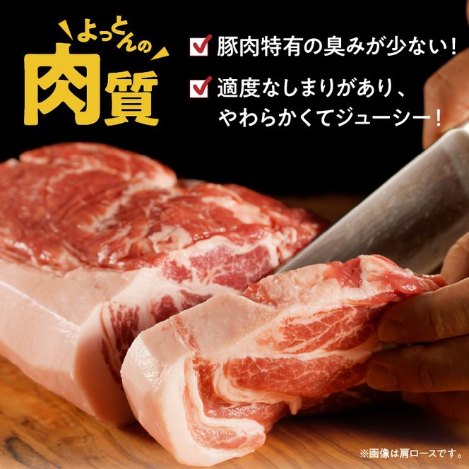 延岡よっとん Dセット N003-YB127