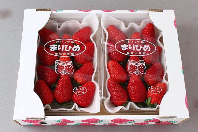 【先行予約】【ご家庭用（簡易包装）】和歌山県産 まりひめ 1箱 約600g（2パック入り、1パックあたり約300g）【2027年1月お届け】