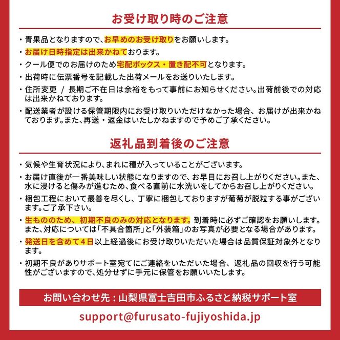 【2025年先行予約】【 定期便 】 厳選 旬のフルーツ定期便 シャインマスカット 桃 黒ぶどう 果物 フルーツ くだもの 旬 もも ぶどう 高級 山梨 富士吉田