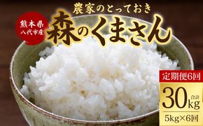 【定期便6回】 【令和7年産】 熊本県八代市産 森のくまさん 農家のとっておき 5kg×6回 米 お米 精米  国産 白米 ごはん ご飯