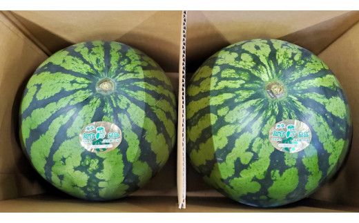 《 先行予約 》 牛久市産 河童 西瓜 L 2玉 ( 約 12kg ) 【 2026年6月中旬発送開始 】 果物 フルーツ Lサイズ スイカ すいか 期間限定 旬 国産 アイス シャーベット [DV008us]