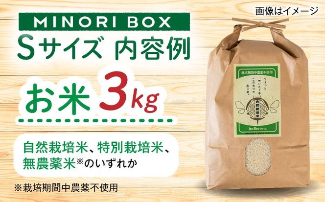 【全3回定期便】糸島産 魚 米 野菜 果物 厳選詰め合わせ MINORI BOX Sサイズ 糸島市 / emma.Inc / 米 魚 野菜 詰め合わせ[AOP020]