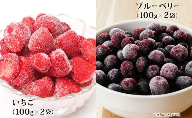 北海道産 冷凍野菜 7種 野菜 果実 セット 長ねぎ にんじん ブロッコリー かぼちゃ じゃがいも ブルーベリー いちご 詰め合わせ 小分け 簡単 便利 一人暮らし 冷凍 北海道 洞爺湖町