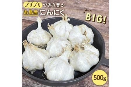 yszɂɂ 500g ʌstyu_zyƂ܂z[AHZ001]
