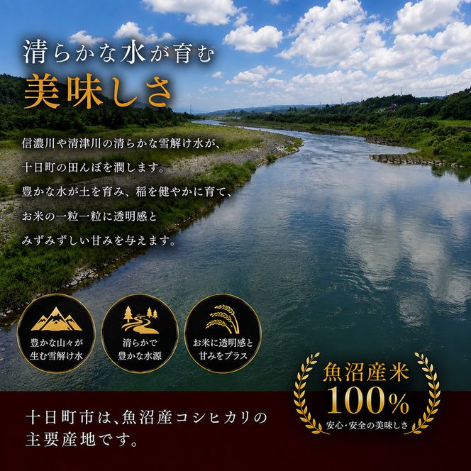 【令和7年産】【食味鑑定士厳選】日本棚田百選のお米 無洗米 天空の里 魚沼産 こしひかり 5kg×1