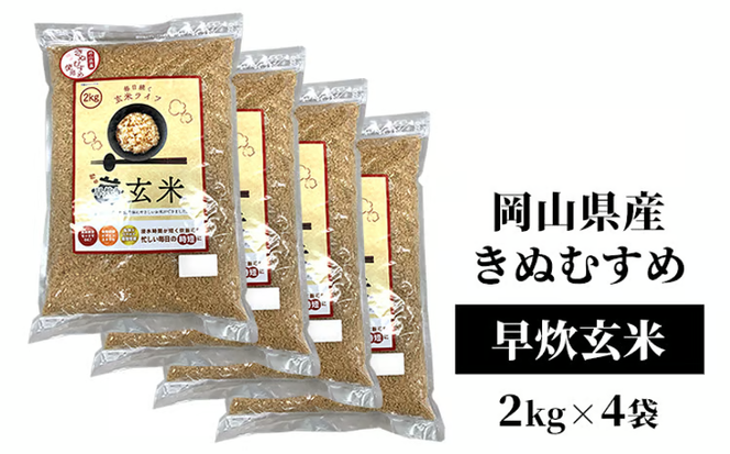令和7年産 早炊 玄米 きぬむすめ 2kg×4袋 岡山県産　お米 国内産 ご飯 おにぎり お弁当 和食 国産 産地直送 玄米食 玄米の栄養素[№5735-1858]