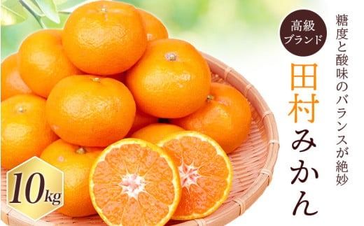 【先行予約受付中！】高級みかん ブランド 田村みかん 10kg ※2026年11月下旬～2027年1月下旬頃に順次発送予定（お届け日指定不可） 有田みかんの最高峰 / みかん ミカン 柑橘 フルーツ 果物 甘い 和歌山 柑橘類 【uot505A】