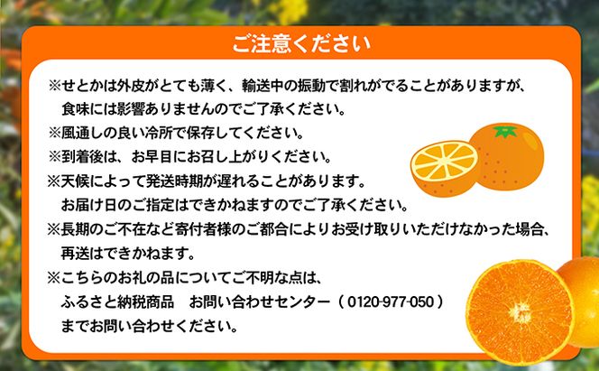 【 小豆島 】 ハウスせとか 約５kg 柑橘 せとか 瀬戸香 ハウス 果物 フルーツ くだもの 瀬戸内 くだもの 国産 香川 香川県 土庄 土庄町 